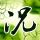 潜行狙击